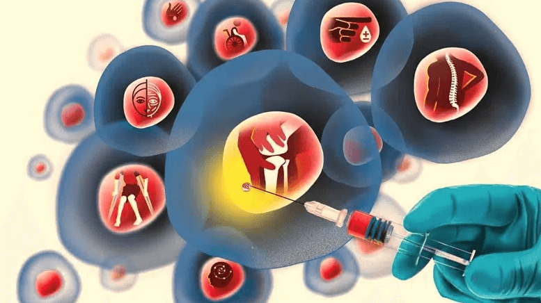 stem cell clinic Raleigh NC