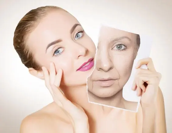 Stem Cells Reverse Aging